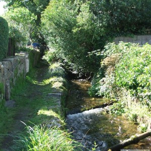 Path along the stream